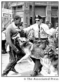police_dogs_1963